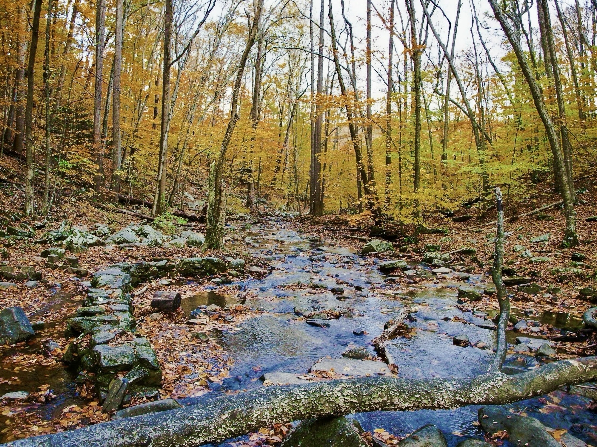 The Verge of Autumn